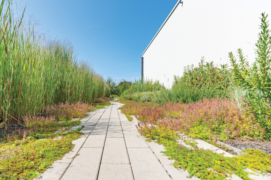 Sentier du jardin d'herbes