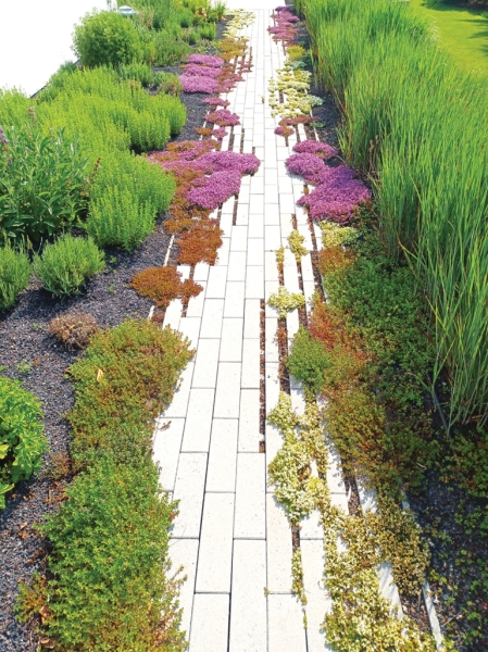 Sentier du jardin d'herbes