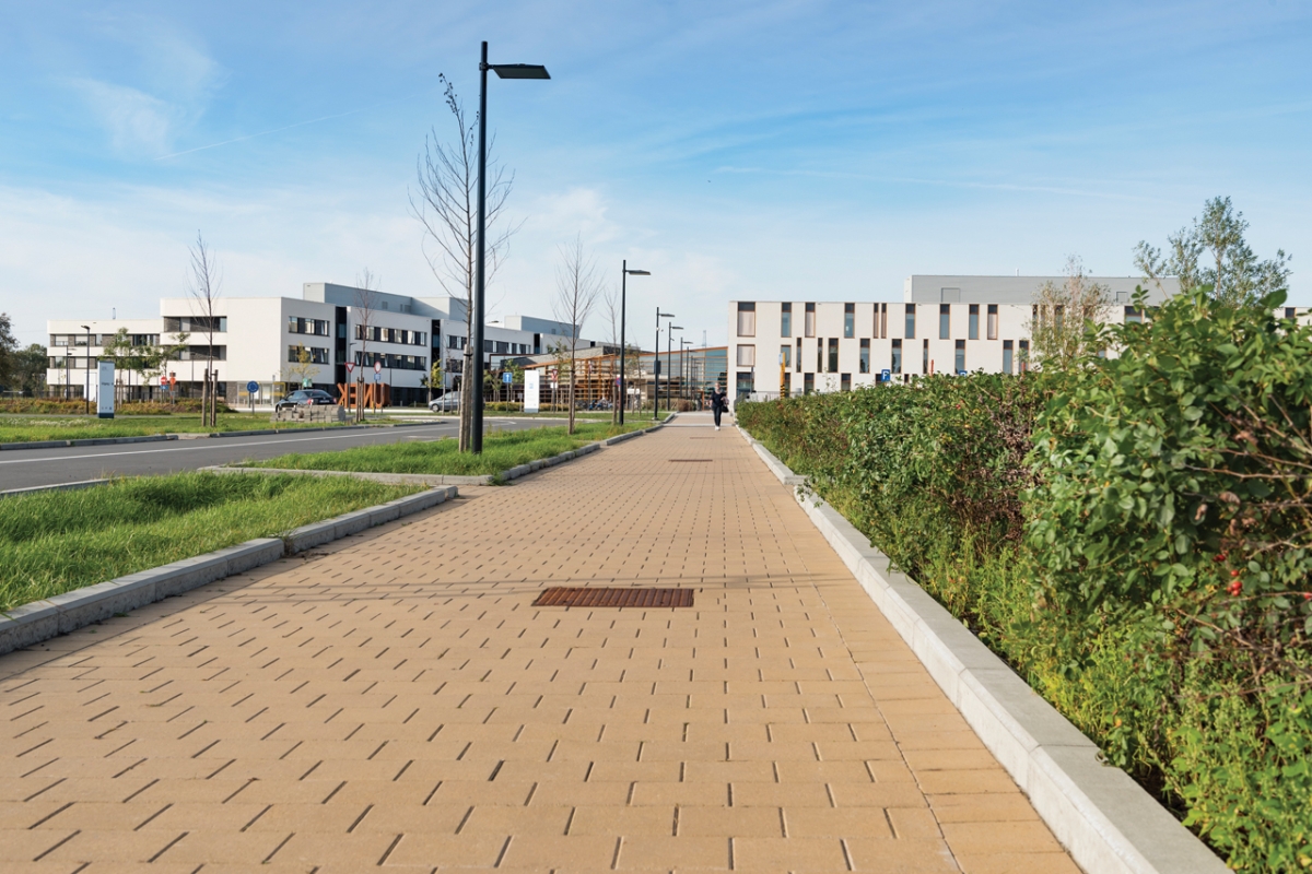 Promenade + Entrée Hôpital Maas & Kempen Maaseik