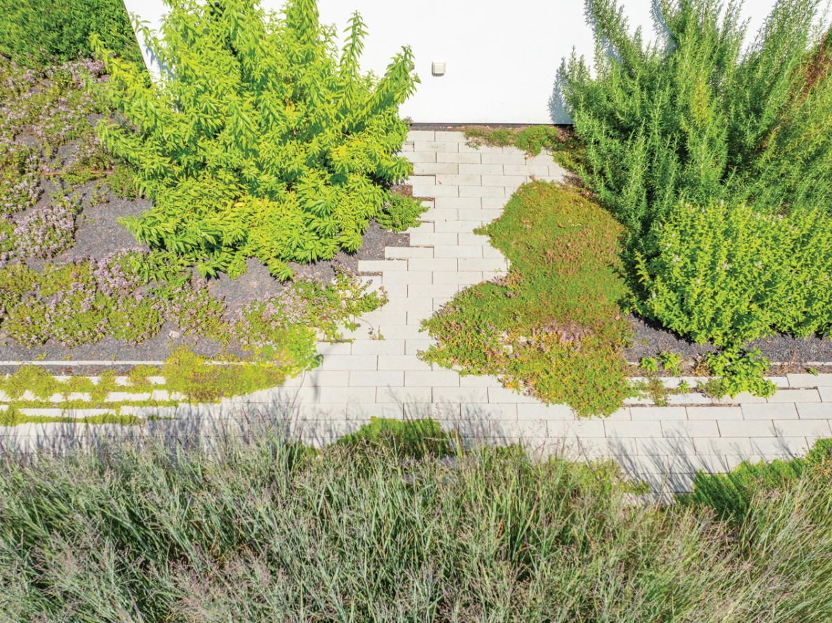 Sentier du jardin d'herbes