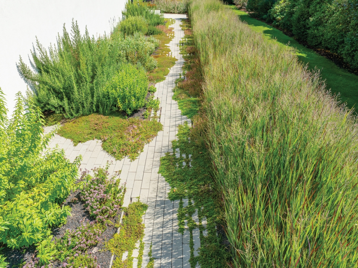 Sentier du jardin d'herbes