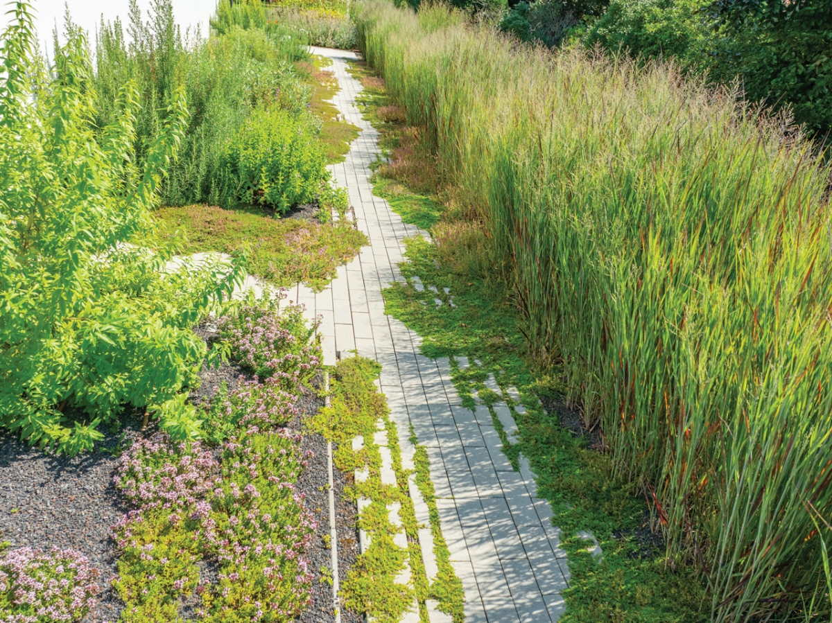 Sentier du jardin d'herbes