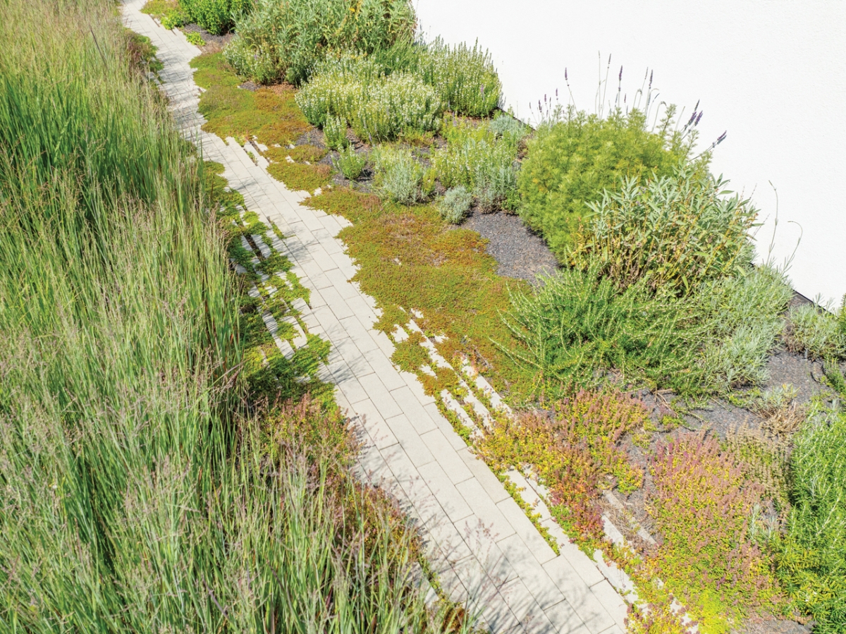 Sentier du jardin d'herbes